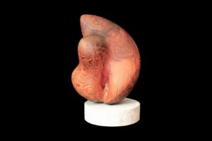 Luigi Sandi: Torso maschile, 1962 - legno di radica di pino - cm 26x53